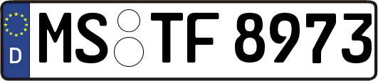 MS-TF8973