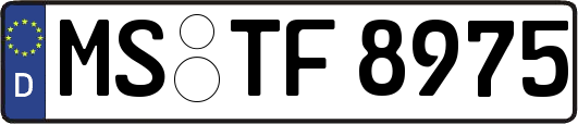 MS-TF8975