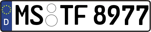 MS-TF8977