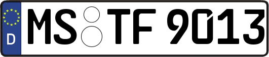 MS-TF9013