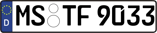 MS-TF9033