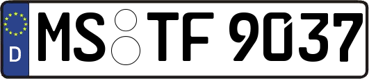 MS-TF9037
