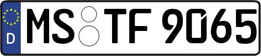 MS-TF9065