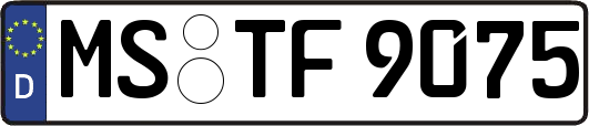 MS-TF9075