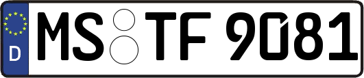 MS-TF9081