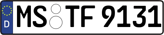 MS-TF9131