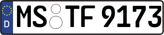 MS-TF9173