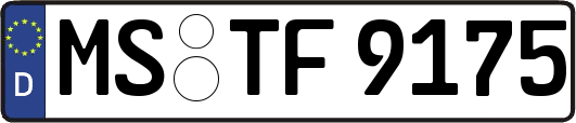 MS-TF9175