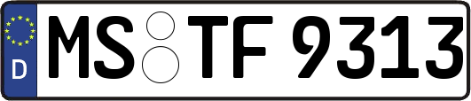 MS-TF9313