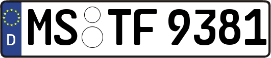 MS-TF9381