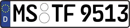 MS-TF9513