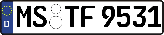 MS-TF9531