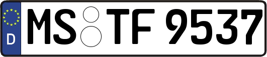 MS-TF9537