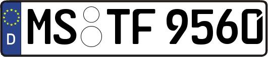 MS-TF9560