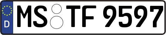MS-TF9597