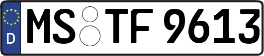 MS-TF9613