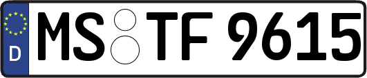 MS-TF9615