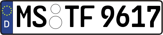 MS-TF9617
