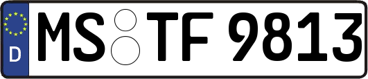 MS-TF9813