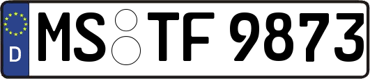 MS-TF9873