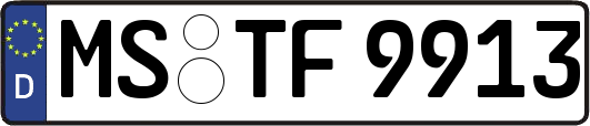 MS-TF9913