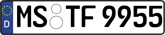 MS-TF9955