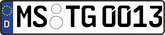 MS-TG0013