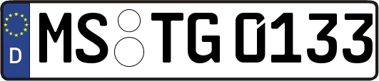 MS-TG0133