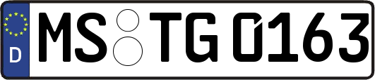 MS-TG0163