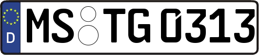 MS-TG0313