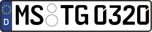 MS-TG0320