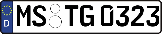 MS-TG0323