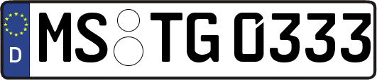 MS-TG0333