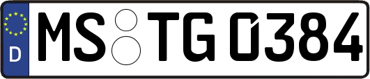 MS-TG0384
