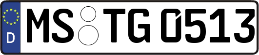 MS-TG0513