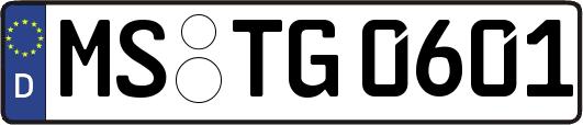 MS-TG0601