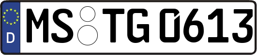 MS-TG0613