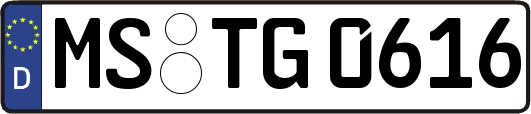 MS-TG0616