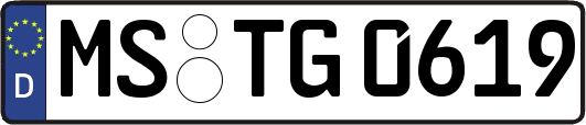 MS-TG0619