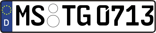 MS-TG0713