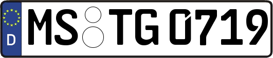 MS-TG0719