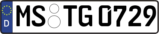 MS-TG0729