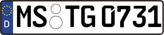 MS-TG0731