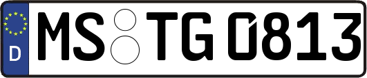 MS-TG0813