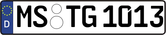 MS-TG1013