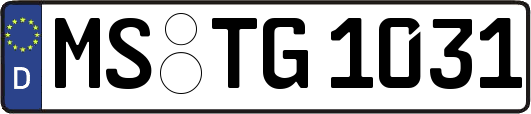 MS-TG1031