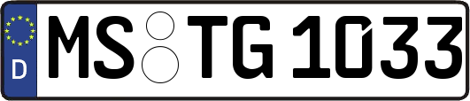 MS-TG1033