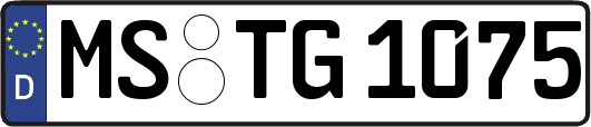 MS-TG1075