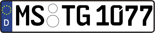 MS-TG1077