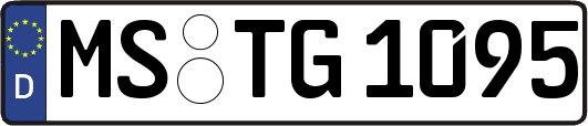 MS-TG1095